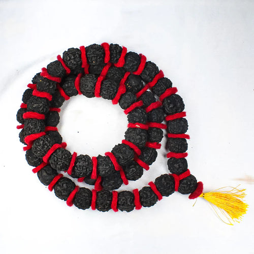 5 Mukhi Rudraksha Kantha Mala - 54+1 Beads | Natural & Lab-Certified